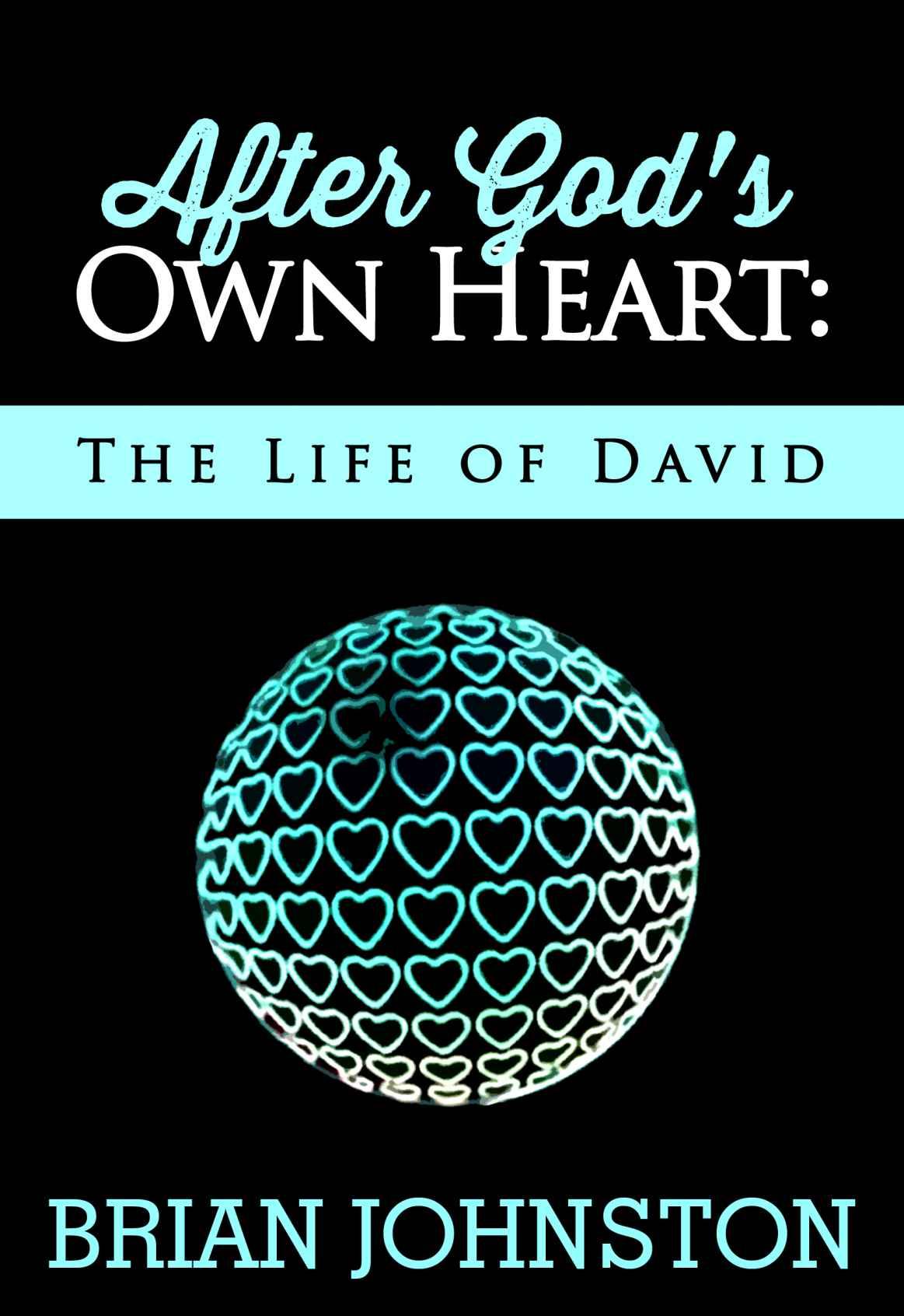 Looking Into the Heart of God - the Life of David (Search for Truth Series)