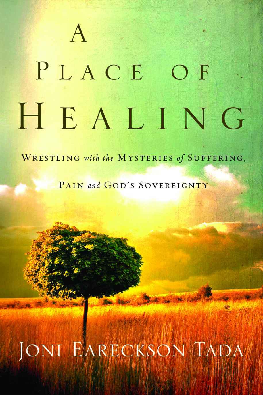 A Place of Healing: Wrestling With the Mysteries of Suffering, Pain, and God's Sovereignty