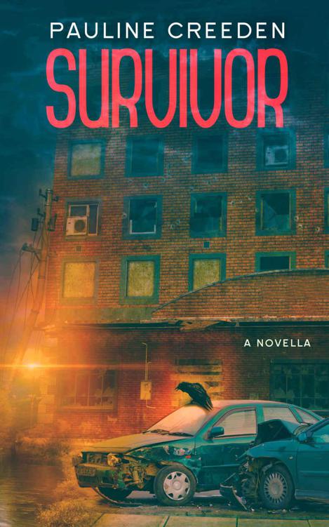 Survivor: A Sanctuary Novella (Sanctuary End Times Series Book 2)