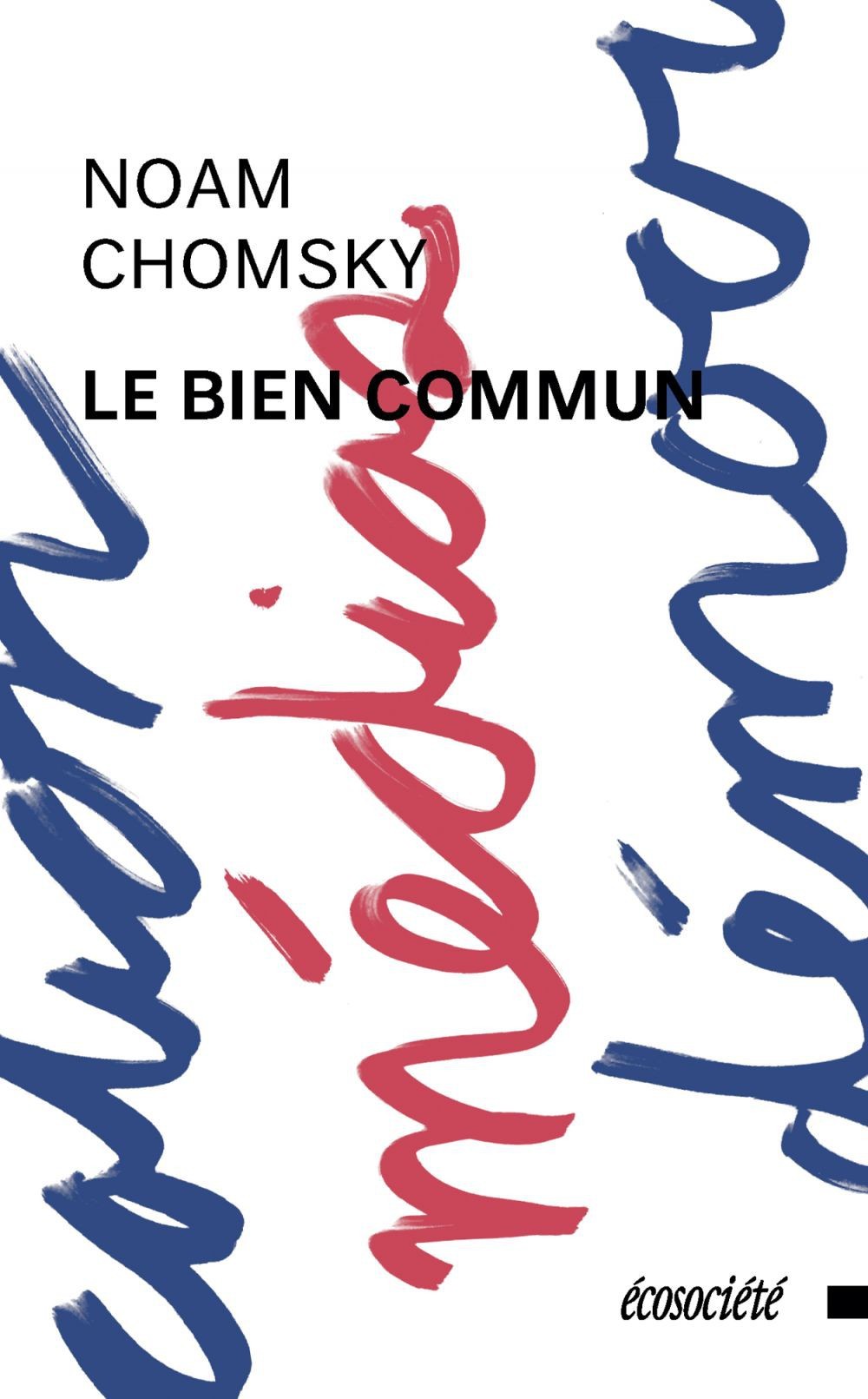 Le bien commun : Entretiens avec David Barsamian