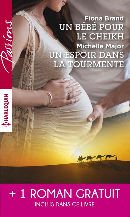 Un bébé pour le cheikh - Un espoir dans la tourmente - Séduite malgré elle
