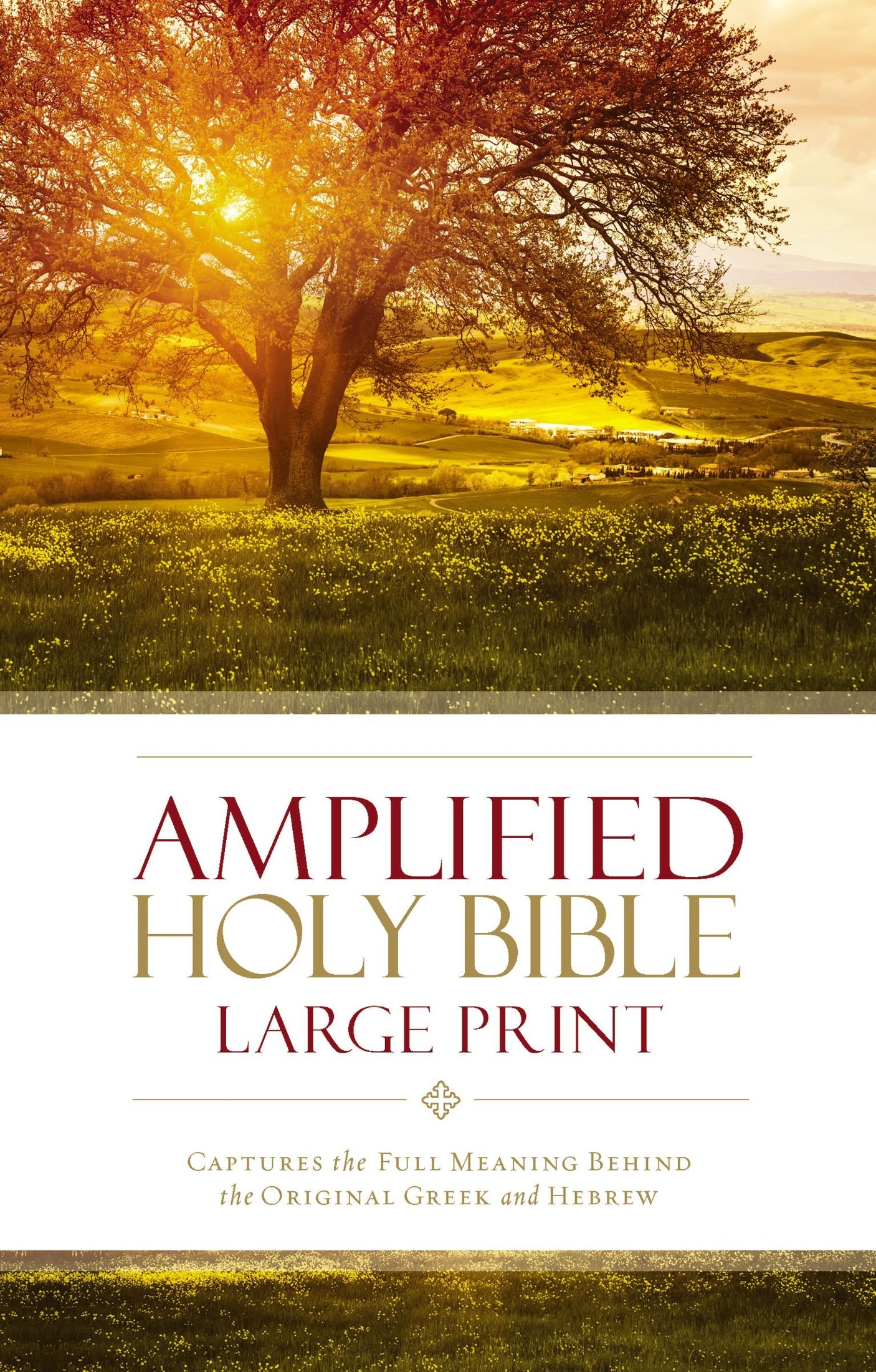 Bible, AMP, Amplified Bible