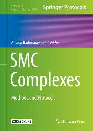 SMC complexes : methods and protocols