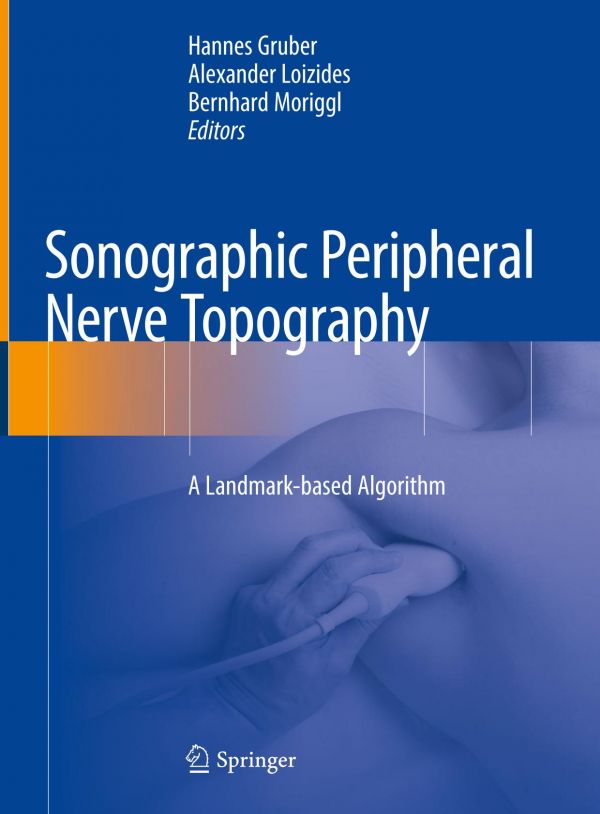 Sonographic peripheral nerve topography : a landmark-based algorithm