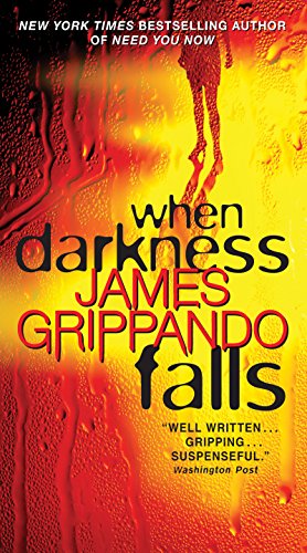 When Darkness Falls (Jack Swyteck Book 6)