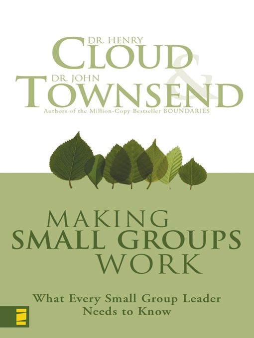 Making Your Small Group Work Participant's Guide With DVD