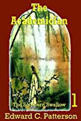 The Academician - Southern Swallow Book I (The Southern Swallow 1)