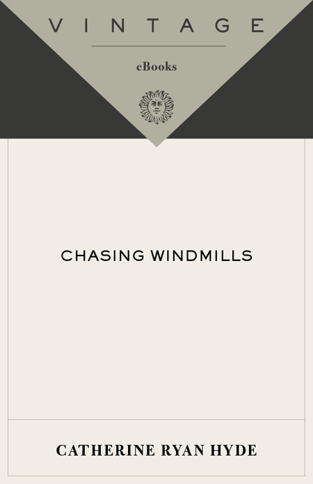 Chasing Windmills (Vintage)