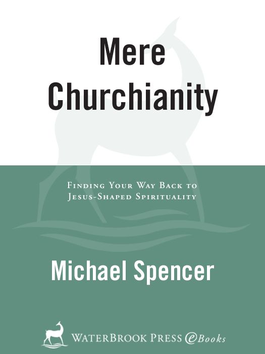 Mere Churchianity: Finding Your Way Back to Jesus-Shaped Spirituality