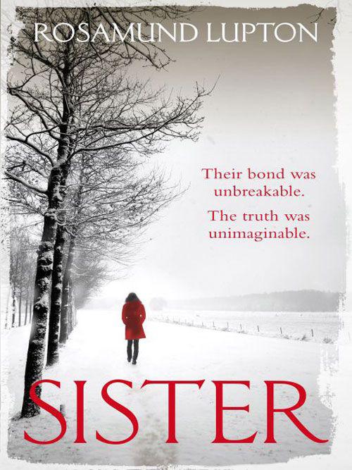 Sister: The phenomenal Sunday Times and New York Times bestseller