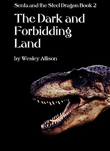 The Dark and Forbidding Land (The Sorceress and the Dragon Book 2)