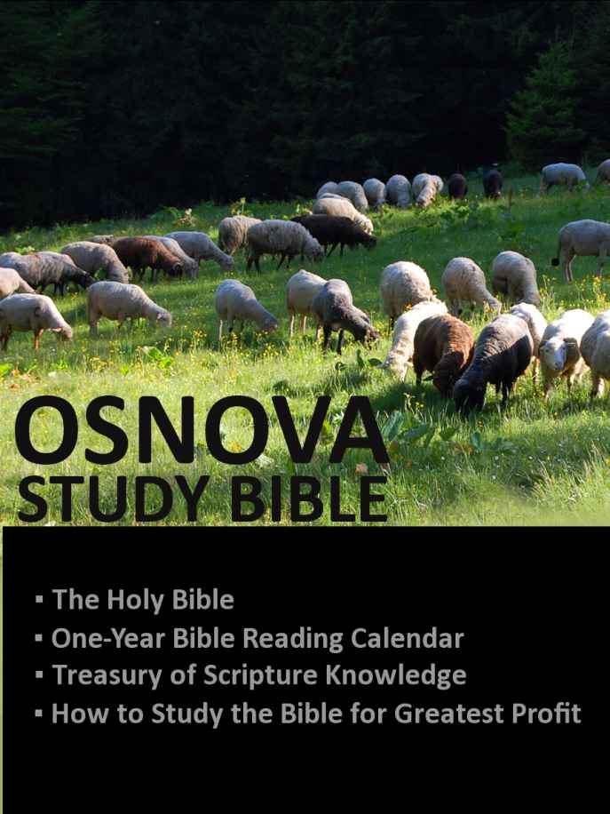 Bible, OSNOVA Study Bible