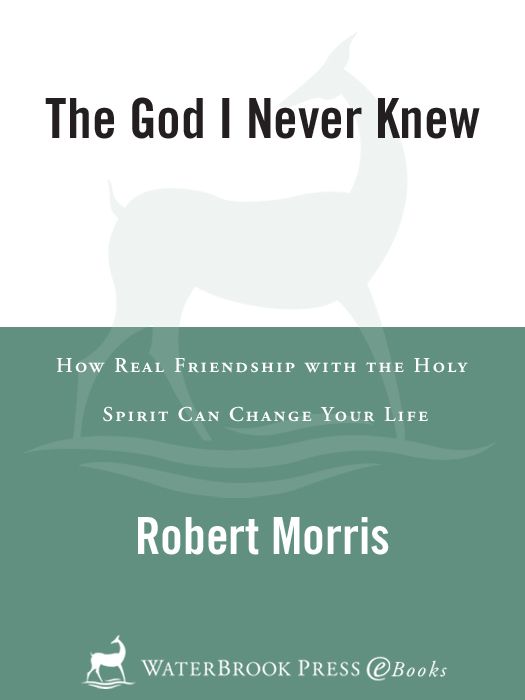 The God I Never Knew: How Real Friendship with the Holy Spirit Can Change Your Life