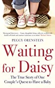 Waiting for Daisy: The True Story of One Couple's Quest to Have a Baby