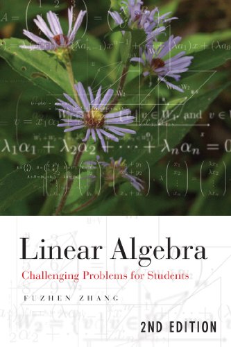 Linear Algebra: Challenging Problems for Students (Johns Hopkins Studies in the Mathematical Sciences)