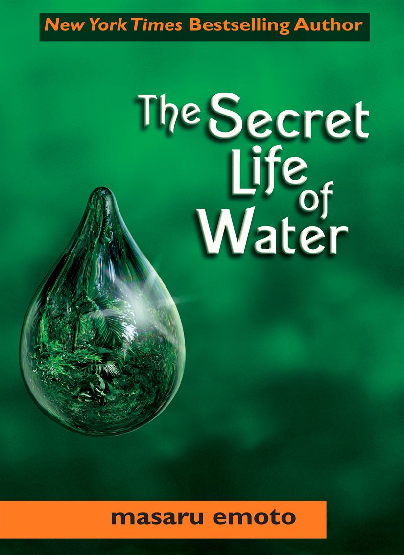 The Secret Life of Water