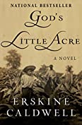 God's Little Acre: A Novel