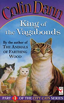 King Of The Vagabonds (Red Fox Middle Fiction)