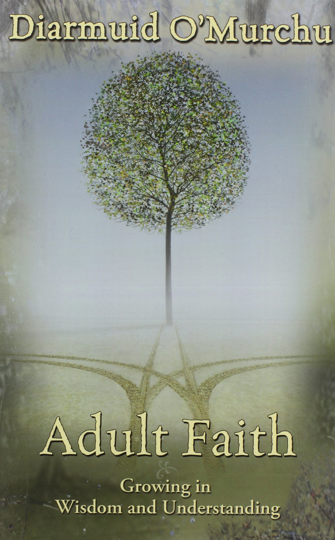Adult Faith: Growing in Wisdom and Understanding