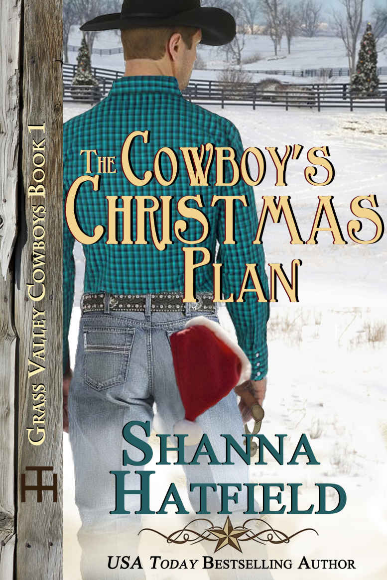 The Cowboy's Christmas Plan (Grass Valley Cowboys Book 1)