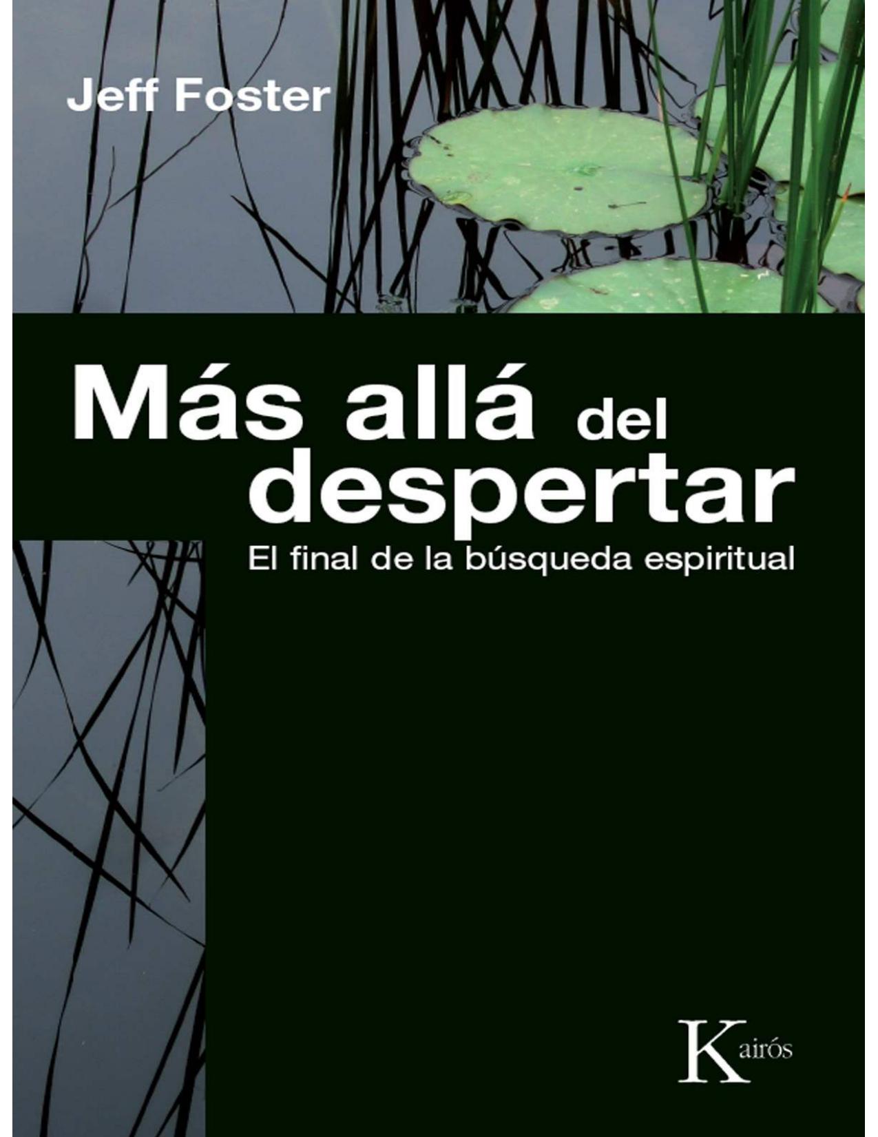 MÁS ALLÁ DEL DESPERTAR:Al final de la búsqueda espiritual (Spanish Edition)