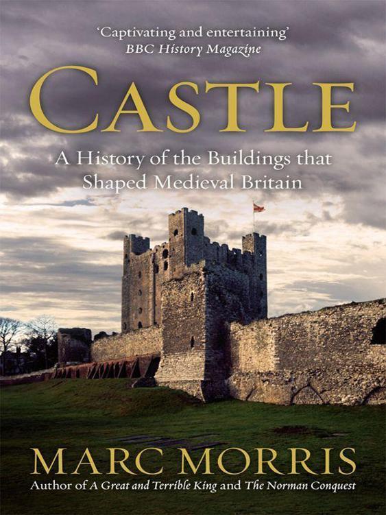 Castle: A History of the Buildings that Shaped Medieval Britain