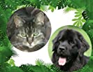 The Adventures of Maggie &amp; Max book 1,2&amp; 3