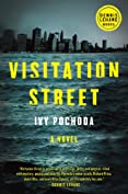 Visitation Street: A Novel