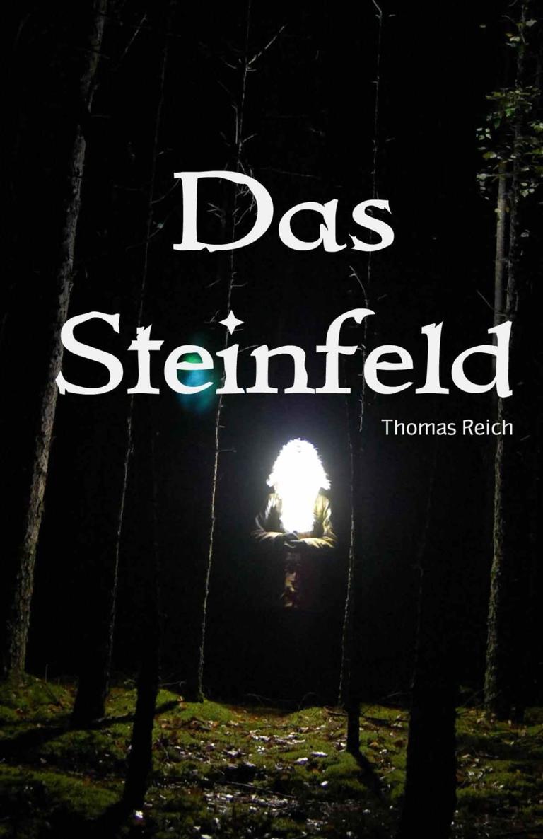 Das Steinfeld (German Edition)