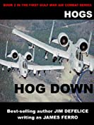 Hogs #2: Hog Down (Jim DeFelice's HOGS First Gulf War series)