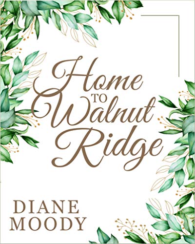 Home to Walnut Ridge (The Teacup Novellas Book 3)