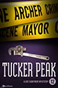 Tucker Peak (Joe Gunther Mysteries Book 12)