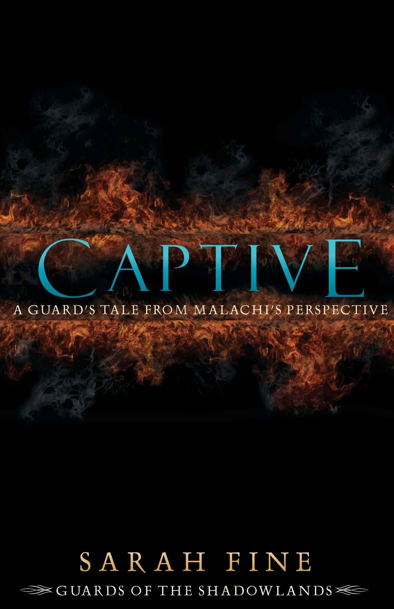 Captive: A Guard's Tale from Malachi's Perspective (Guards of the Shadowlands)