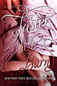 Faster We Burn (Fall and Rise Book 2)