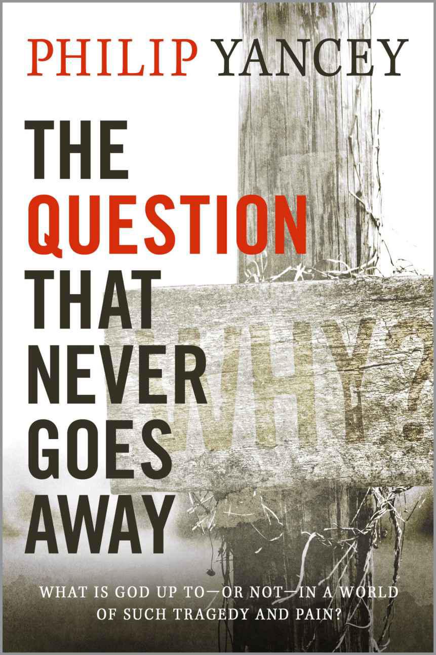 The Question That Never Goes Away: What Is God Up to in a World of Such Tragedy and Pain?