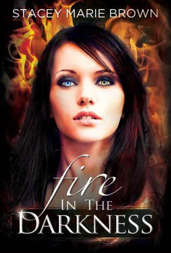 Fire In The Darkness (Darkness Series Book 2)