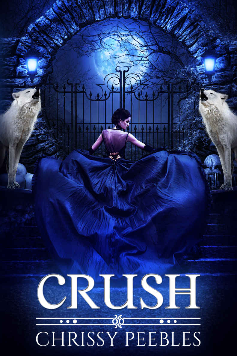 Crush (The Crush Saga Book 1)