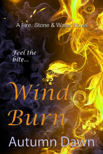 Wind Burn (Fire, Stone &amp; Water Book 4)