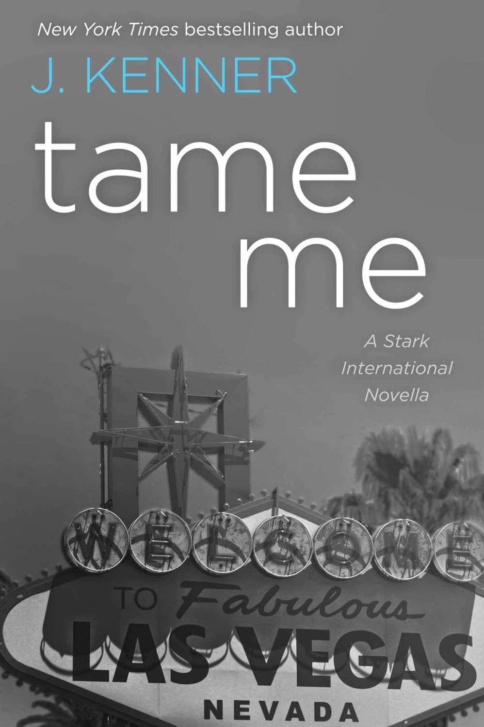 Tame Me: A Stark International Security Novella (Stark International Trilogy Book 1)