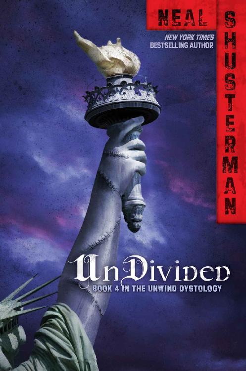 UnDivided: Unwind Dystology [Book 4]
