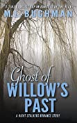 Ghost of Willow's Past: a Christmas Story (The Night Stalkers Short Stories Book 1)