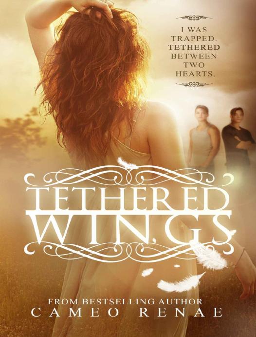 Tethered Wings (Hidden Wings Series)