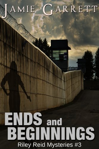 Ends and Beginnings - Book 3 (Riley Reid Mysteries)