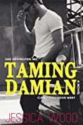 Taming Damian (The Heartbreaker, #2)