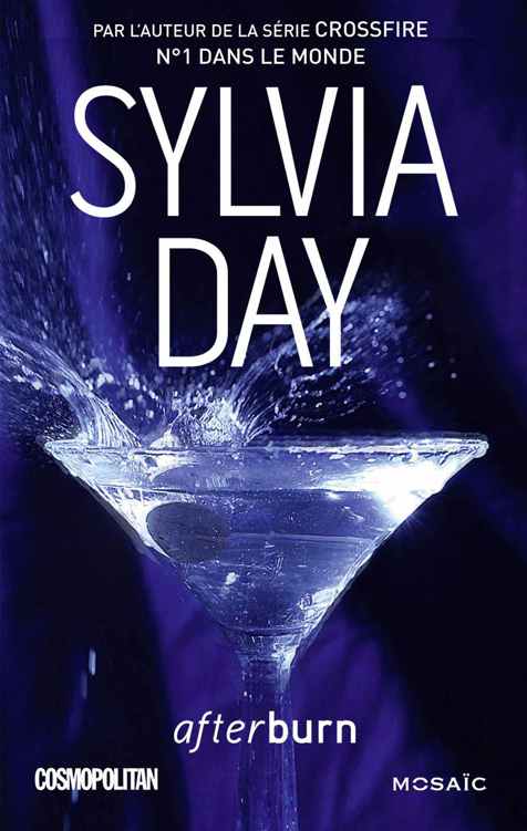 Afterburn (version française) (Mosaïc) (French Edition)