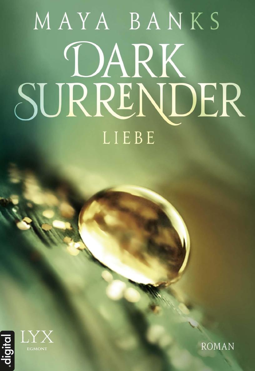 Dark Surrender 03 - Liebe