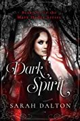 Dark Spirit (Mary Hades Book 1)