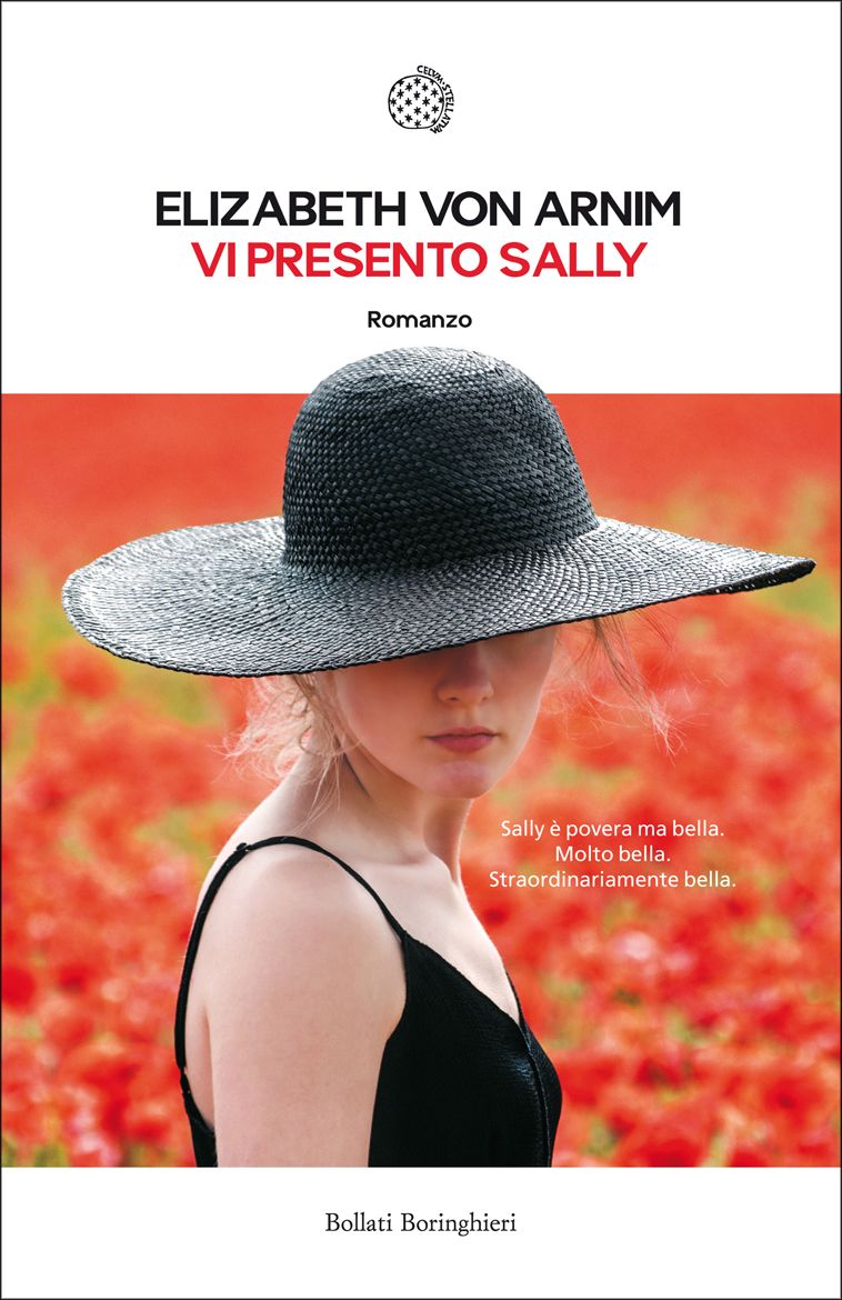 Vi presento Sally (Bollati Boringhieri Narrativa) (Italian Edition)