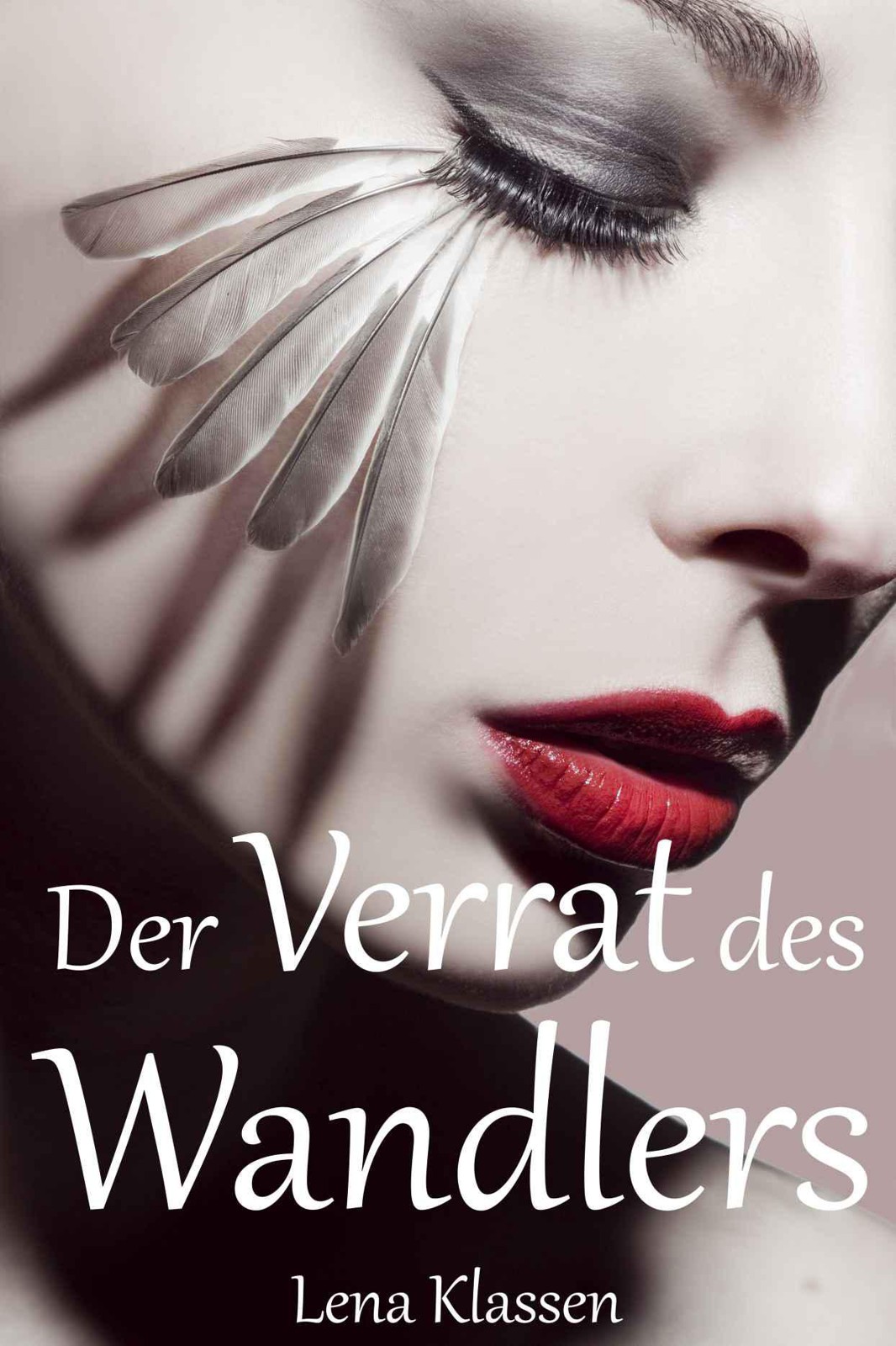 Die Wandler 02 - Der Verrat des Wandlers