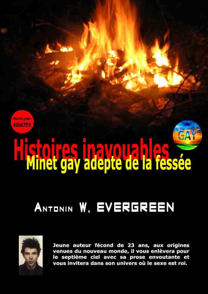 Minet gay adepte de la fessée (Histoires inavouables t. 2) (French Edition)